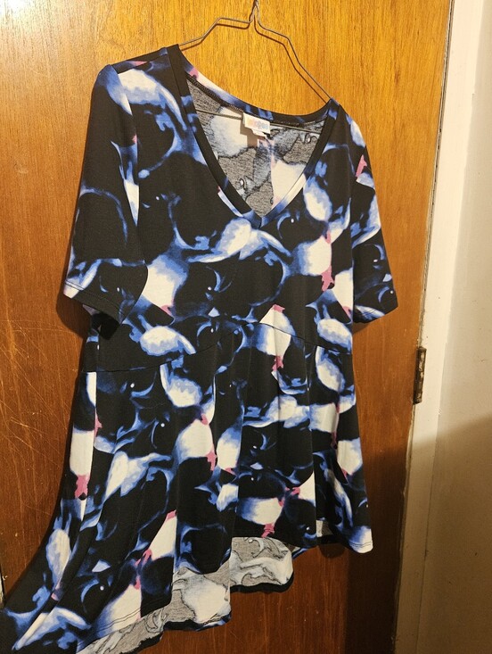 LuLaRoe Tops - Lularoe Womens Jenna Top Size Small Multicolor Floral